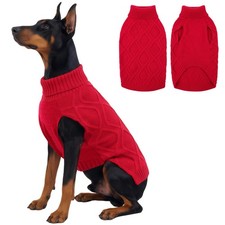 Pull Chien Pull pour Grand