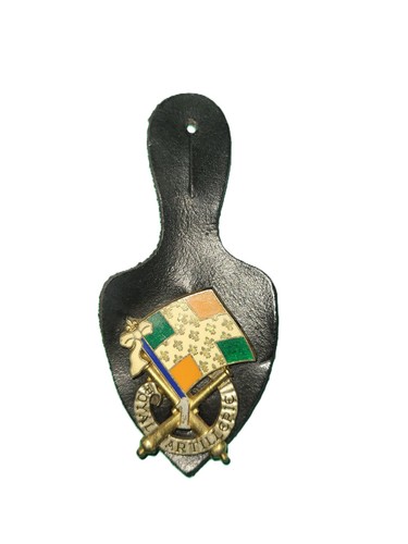 Pucelle insigne regiment - insigne, 1°