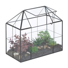 Terrarium Ecosysteme Terrarium interieur forme mini serre Terrarium plante
