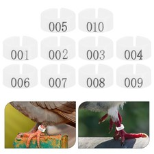  100 Pcs Bagues Poules Anneaux