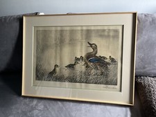 Gravure Léon Danchin Cane &