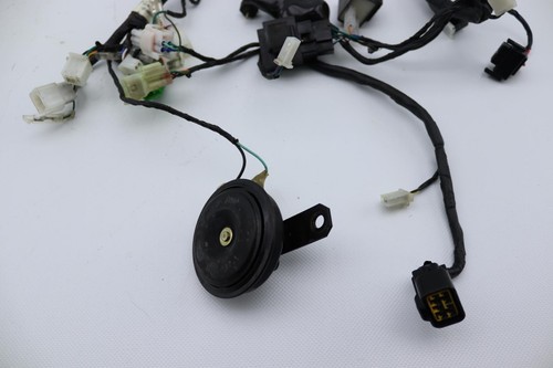 Faisceau électrique masai - électrique,