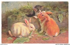 AVWP14-0786-ANIMAUX - Chat -