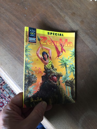 Petit format special zembla - format,