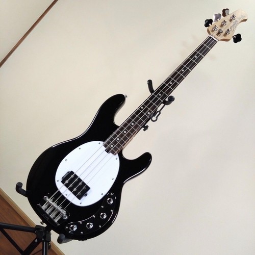 Basse cordes sterling by - basse,