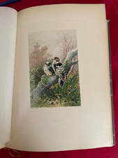HECTOR GIACOMELLI. NOS OISEAUX. In-folio. L'oeuvre maîtresse de l'artiste.