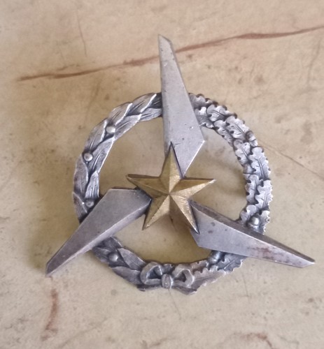 Insigne brevet pilote - brevet,