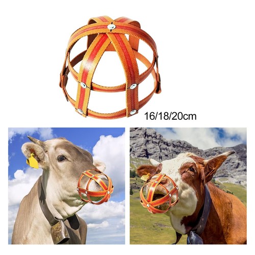 Couverture bouche cheval - de,