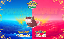 Pokemon Rattatac Alola SHINY 6