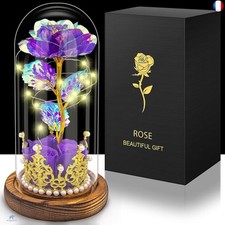 Hemiro Rose éternelle dans un verre, cadeau de fête des mères pour maman, rose d