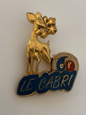 Pin broche ski esf - ski, le