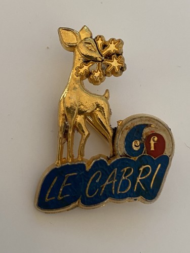 Pin broche ski esf le - no,