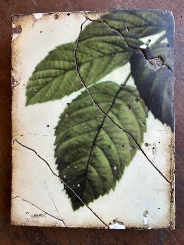 Sid dickens memory - block, tile