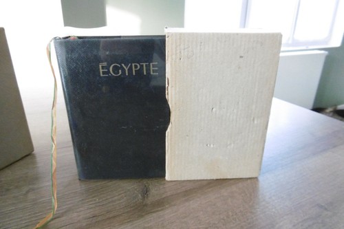 Ancien livre les guides bleus