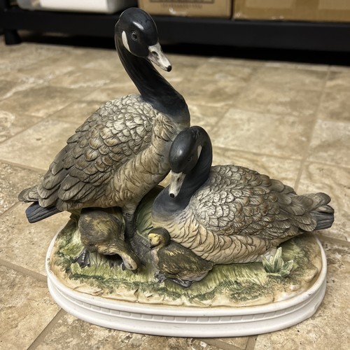 Large canada goose family - canada,
