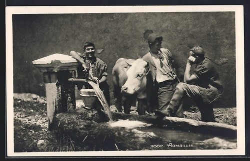 Carte postale armaillis - postale,
