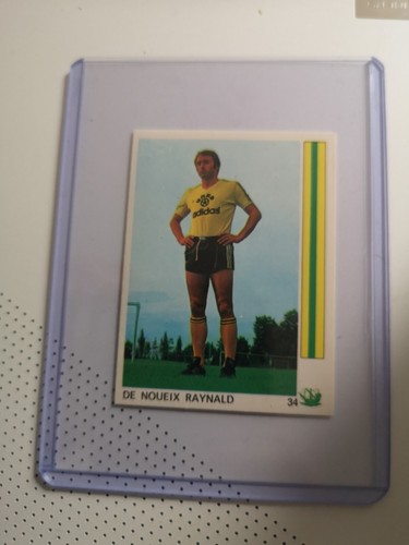 Raynald denoueix nantes - denoueix,