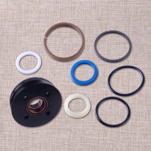 Trim cylinder piston repair - piston,