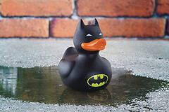 Batman caoutchouc canard