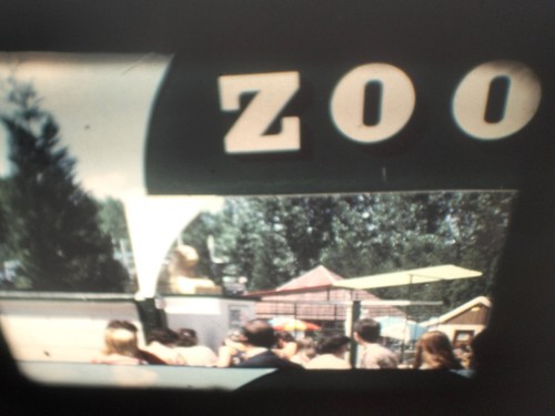 Visite zoo - visite, au