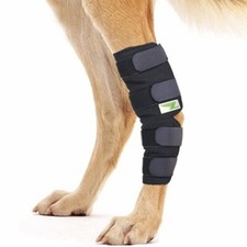 Attelle pour Articulation Patte Arrière pour Chien Bandage Thérapeutique de H...