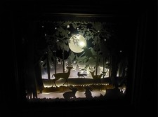 Tres Beau Cadre Lumineux Nuit