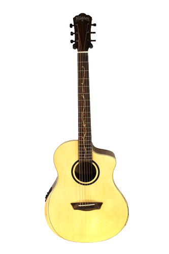 Damaged washburn btsc40sce - washburn,