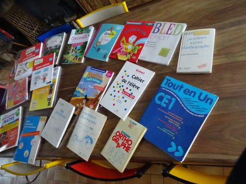 Gros lot livre - scolaire, ce1