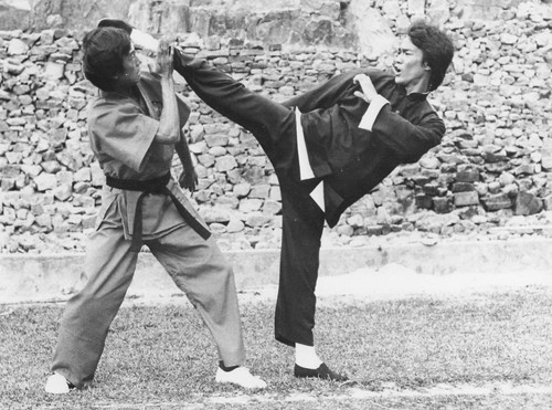 Bruce lee kung fu - ,