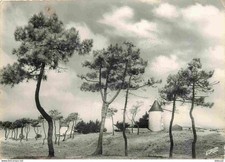 Carte Postale - Moulin à vent