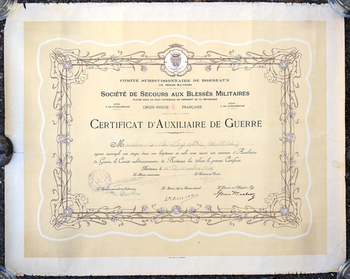 Diplôme infirmière