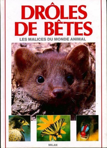 Drôles bêtes patrice - de,