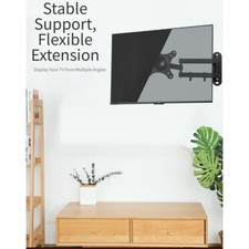 Moniteur TV Petit Écran