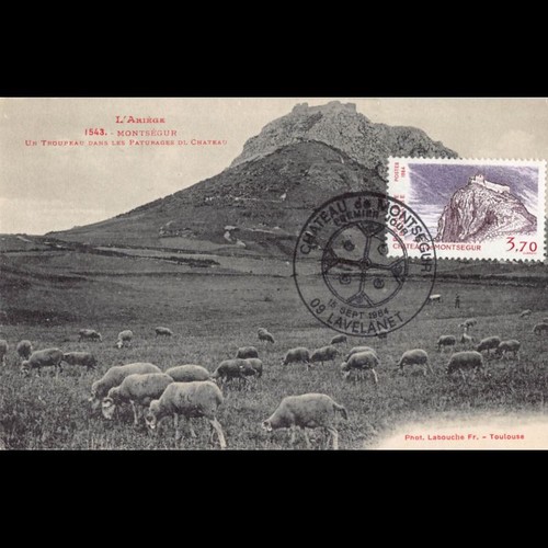 Carte maximum v16 - maximum,