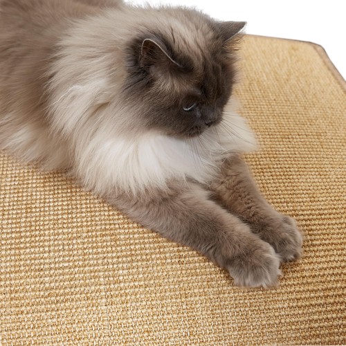 Tapis griffoir pour chats - chats,