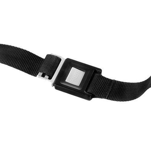 Ceinture securite pour - , porte