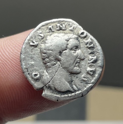 Monnaie romaine divo - romaine, antonin