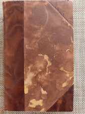 LE MAITRE DU REVE . ROGER