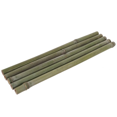 Pcs tubes bambou à - ,