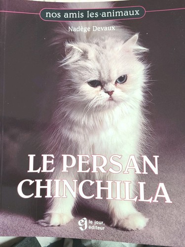 Livre persan chinchilla - persan,