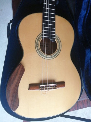 étui semi rigide - semi-rigide, guitare