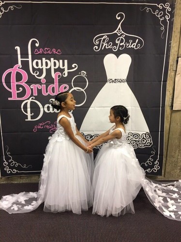 Bride dress backdrop wedding - dress,