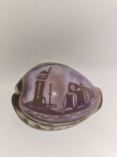 Coquillage sculpté camée - ,