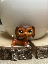littlest pet shop : Teckel #675