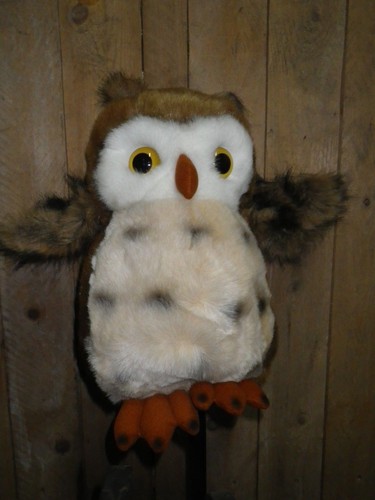 Chouette peluche range - peluche, pyjama