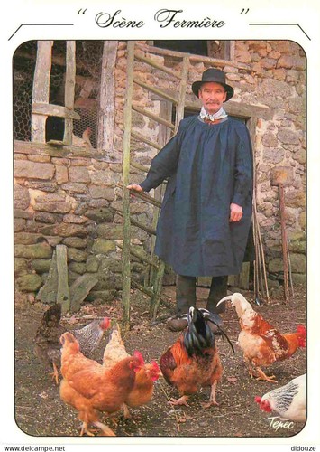 Carte postale animaux - -,