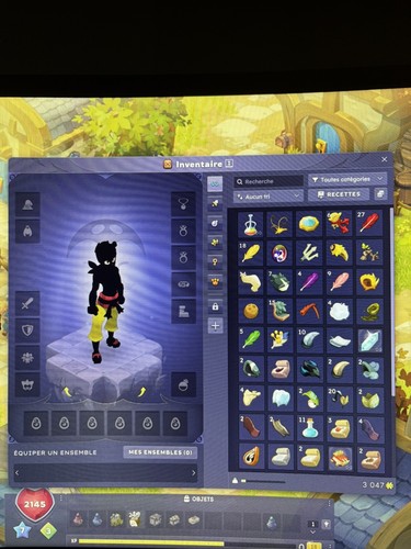 Compte dofus iop - dofus,