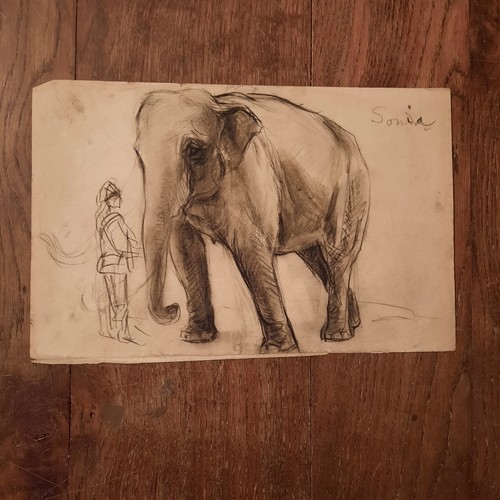 Dessin ancien animalier - dessin,