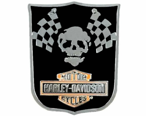 Harley davidson racing - racing, skull