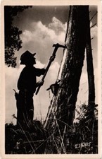 CPA AK Au Pays Landais Gemmeur